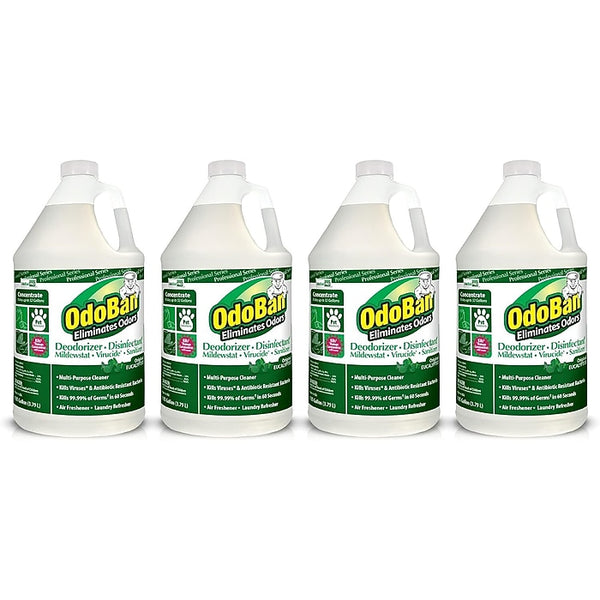 OdoBan Professional Air Freshener Deodorizer, Eucalyptus Scent, 1 Gallon, 4/Carton