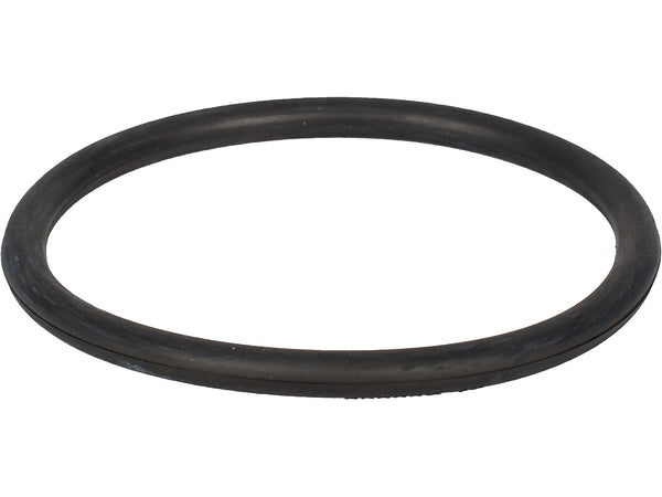 Sanitaire RD Vacuum Belt, Black, 2/Pack