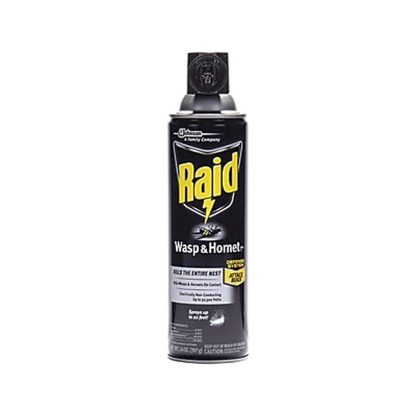 Raid Wasp & Hornet Killer 33 Aerosol, Unscented, 14 oz