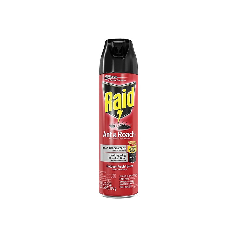 Raid Ant & Roach Killer 26 Aerosol, Outdoor Fresh Scent, 17.5 oz